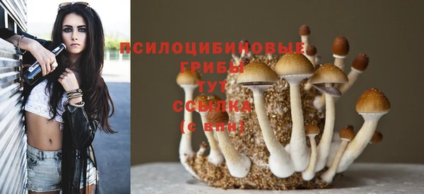 ECSTASY Горнозаводск