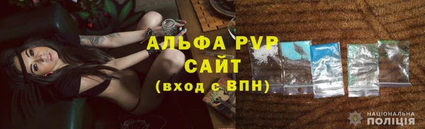 СК Горно-Алтайск