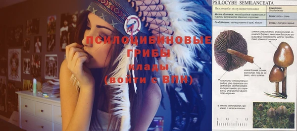 СК Горно-Алтайск