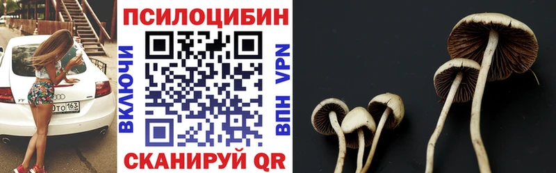 Купить закладки  Пикалёво  Галлюциногенные грибы GOLDEN TEACHER 